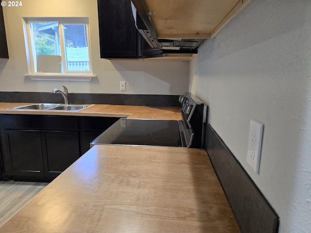 kitchen featuring light hardwood / wood-style flooring, stainless steel range with electric stovetop, and sink