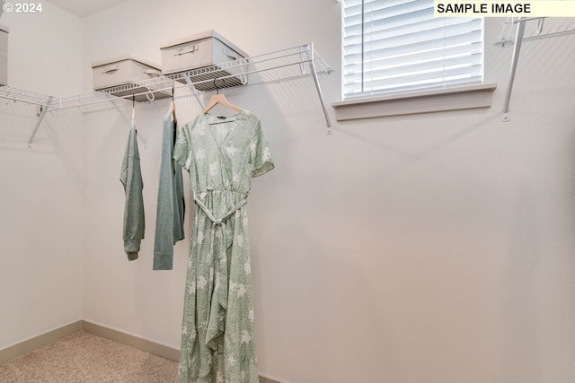 view of spacious closet