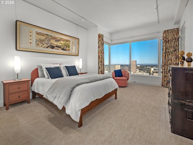 bedroom featuring track lighting and light carpet