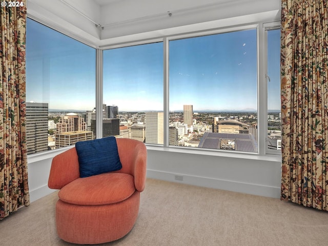 living area featuring a city view, carpet flooring, and baseboards