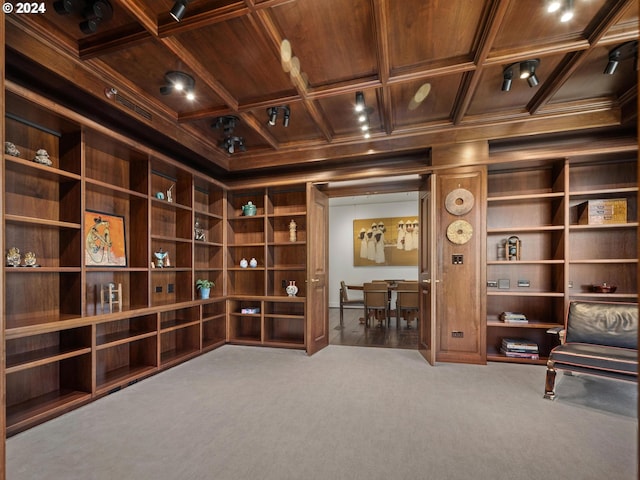 unfurnished room with built in shelves, carpet, and wood ceiling