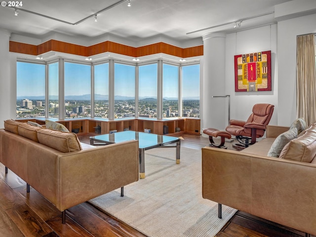 living area with track lighting, a mountain view, and wood finished floors