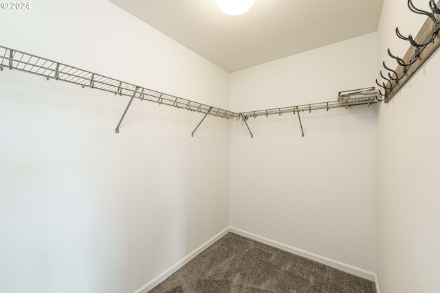 spacious closet featuring dark colored carpet