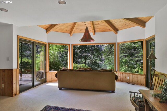49356 Mckenzie Hwy, Vida, OR 97488 - living room featuring wood ceiling, carpet flooring, and wood walls