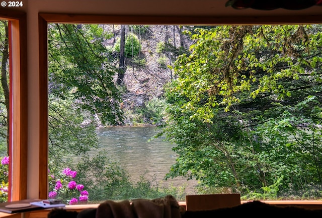 49356 Mckenzie Hwy, Vida, OR 97488 - water view
