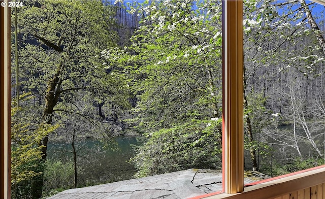 49356 Mckenzie Hwy, Vida, OR 97488 - interior space featuring a water view