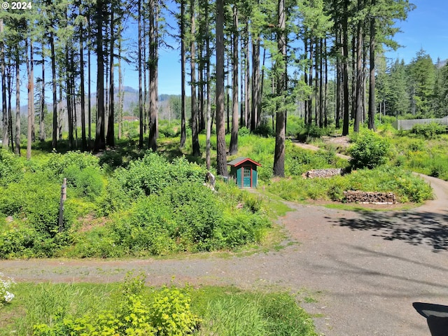 49356 Mckenzie Hwy, Vida, OR 97488 - view of yard