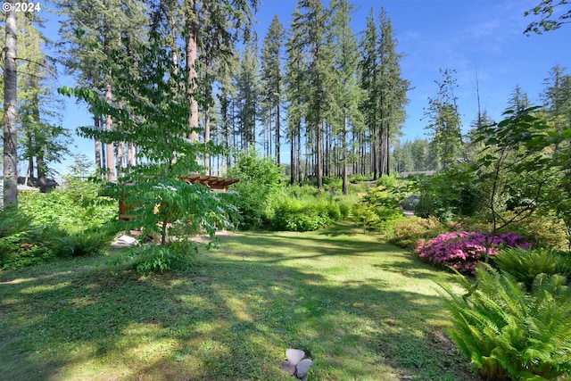 49356 Mckenzie Hwy, Vida, OR 97488 - view of green lawn