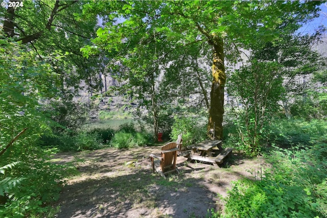 49356 Mckenzie Hwy, Vida, OR 97488 - view of yard