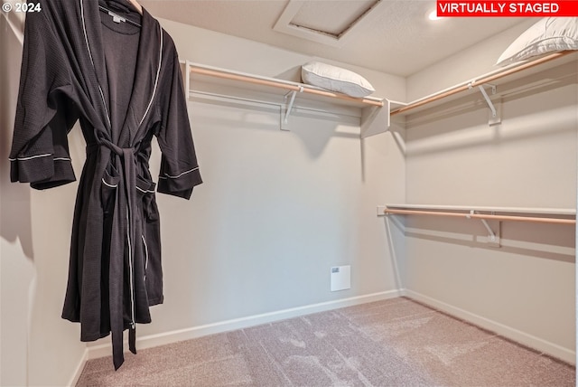 spacious closet featuring light colored carpet