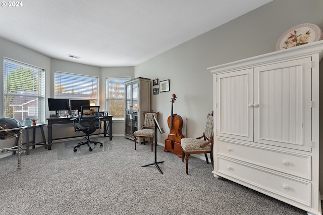 home office with carpet flooring and a textured ceiling