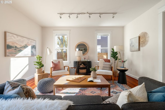 living room featuring hardwood / wood-style flooring