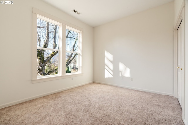 spare room with a wealth of natural light and carpet flooring