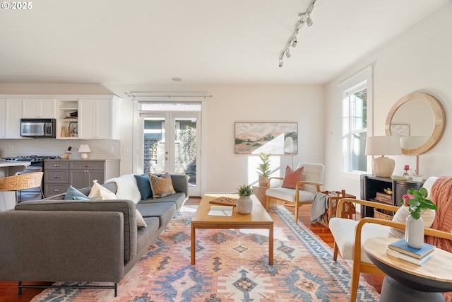 living room with french doors and light hardwood / wood-style flooring