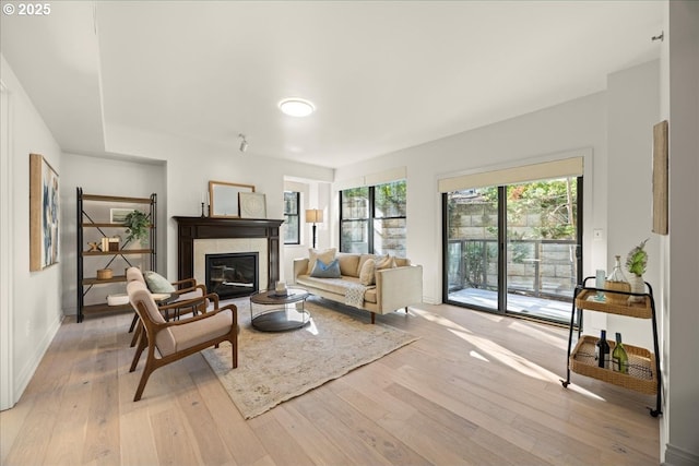 living room featuring light wood finished floors, a fireplace, and baseboards