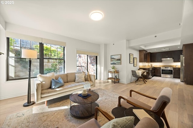 living room with light wood-type flooring and baseboards