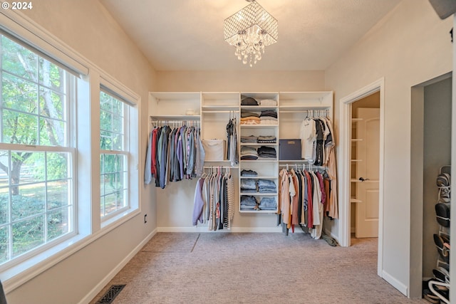 spacious closet with carpet floors, an inviting chandelier, and visible vents