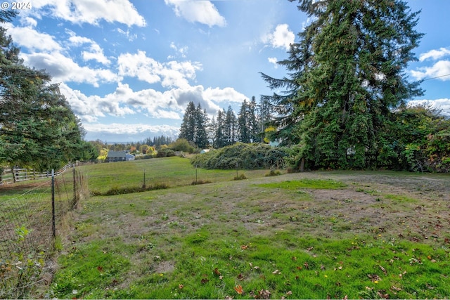 view of yard with a rural view