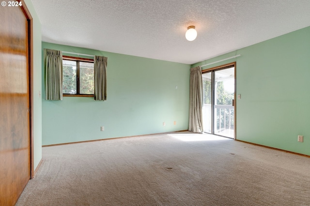 spare room with a textured ceiling, carpet flooring, and plenty of natural light