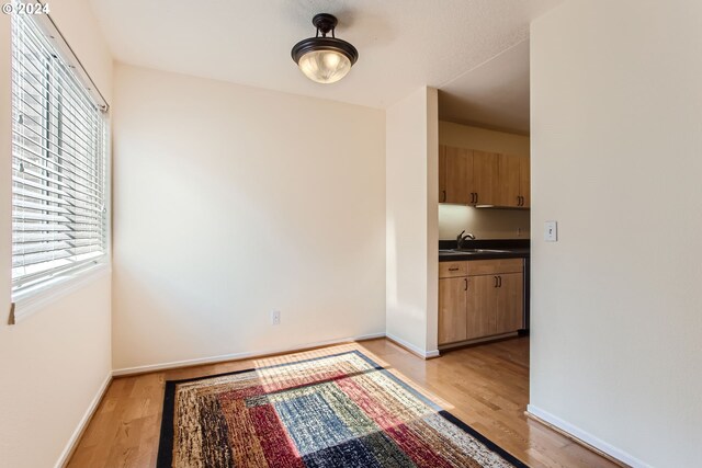 unfurnished dining area featuring sink, light hardwood / wood-style floors, and a healthy amount of sunlight