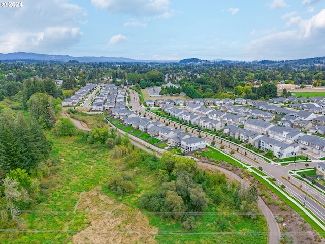 bird's eye view