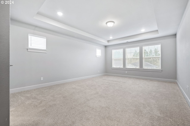 carpeted empty room featuring a raised ceiling and a healthy amount of sunlight