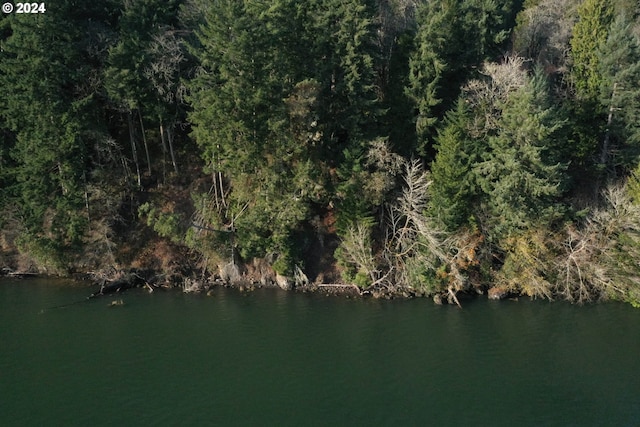 6 Edge Water Dr, Cathlamet, WA 98612