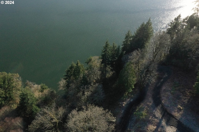 6 Edge Water Dr, Cathlamet, WA 98612