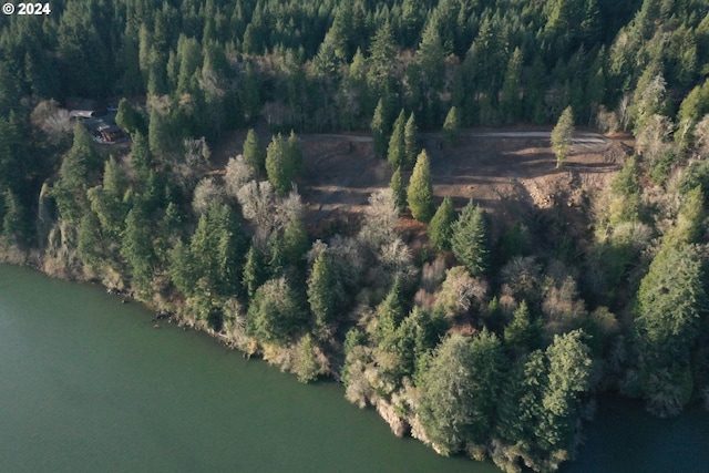 6 Edge Water Dr, Cathlamet, WA 98612