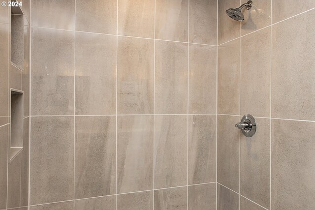 room details with tiled shower