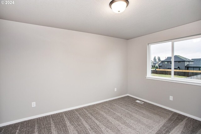 empty room with carpet flooring and a textured ceiling