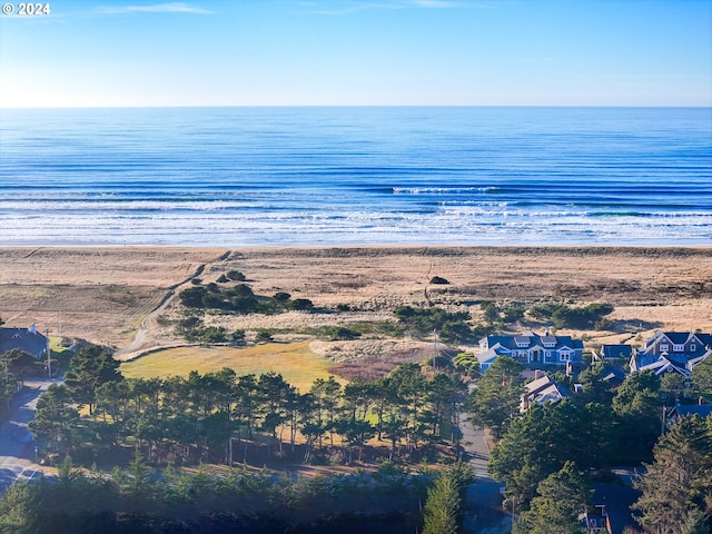 view of water feature with a beach view