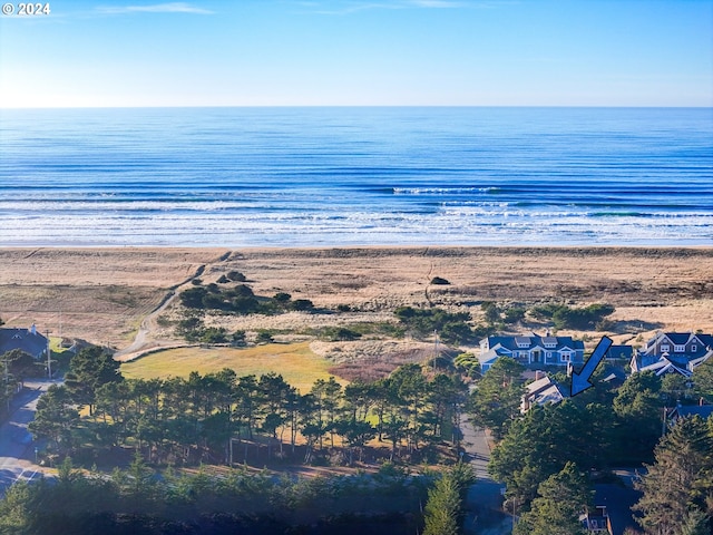 water view featuring a beach view