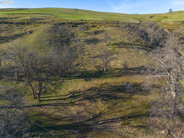 aerial view featuring a rural view