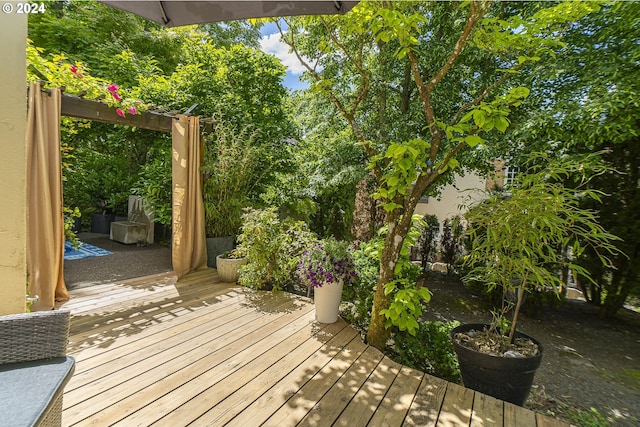 view of wooden terrace