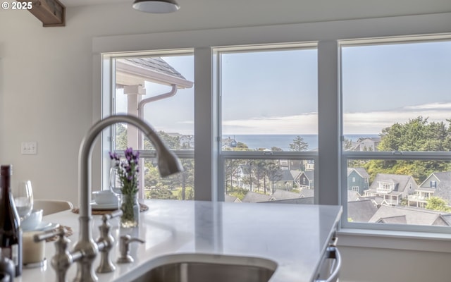 details featuring sink and a water view