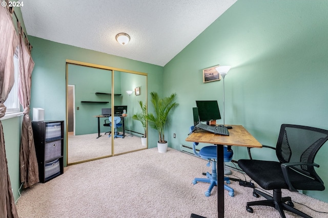 office space with a textured ceiling, carpet floors, and lofted ceiling