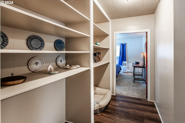 hallway with dark wood-type flooring