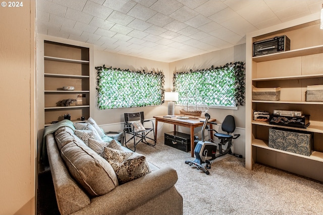 living area featuring built in features and carpet flooring