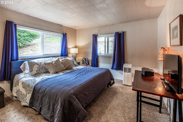 carpeted bedroom with multiple windows