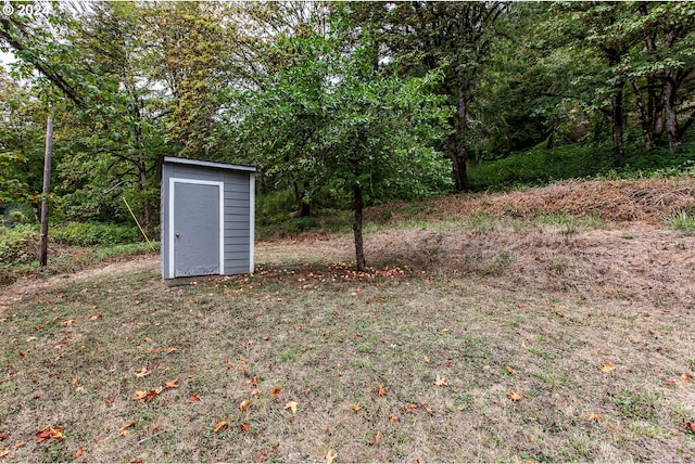 view of yard featuring a storage shed