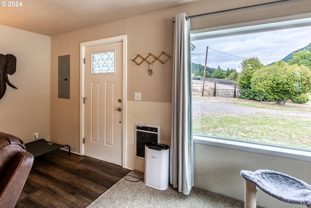 entryway with electric panel and dark hardwood / wood-style floors