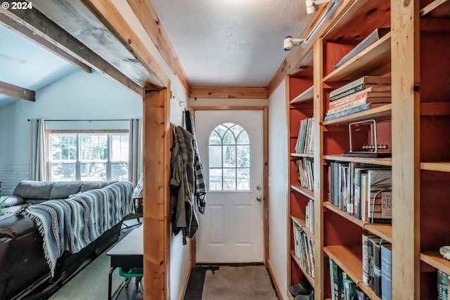 entryway with a textured ceiling, carpet floors, vaulted ceiling, and a wealth of natural light