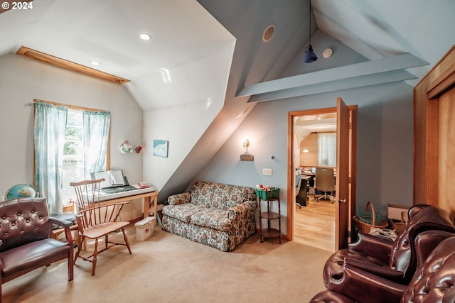 living room with lofted ceiling and wood-type flooring