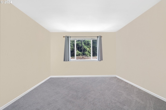 spare room with carpet flooring