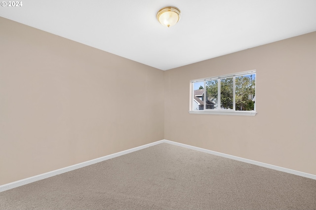 spare room featuring carpet flooring