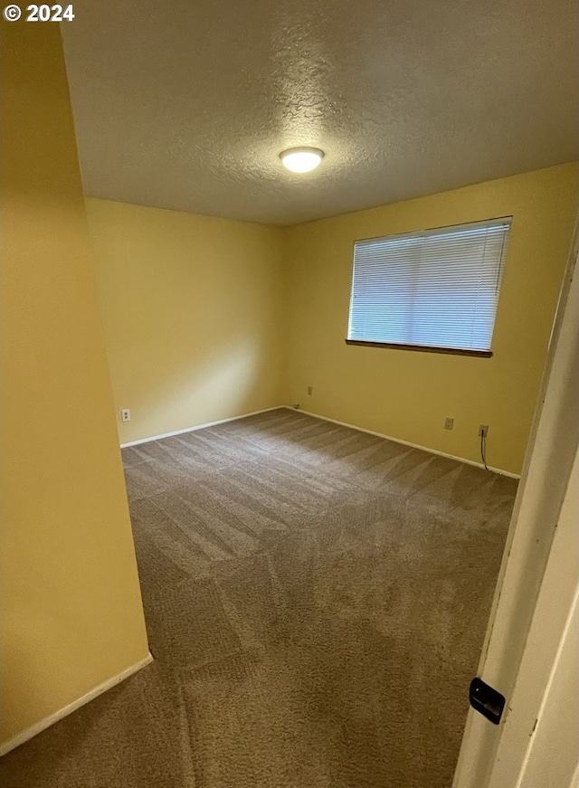 empty room featuring a textured ceiling and carpet flooring