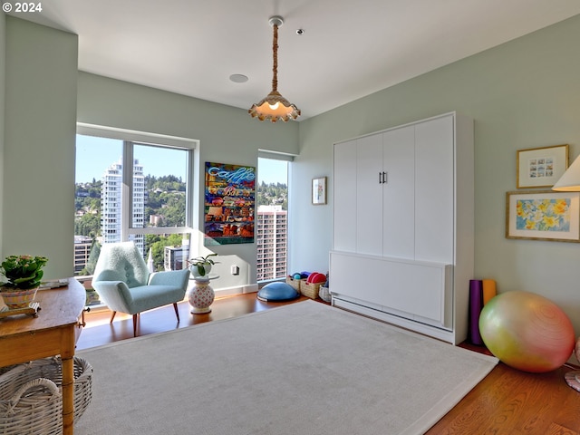 living area with hardwood / wood-style flooring