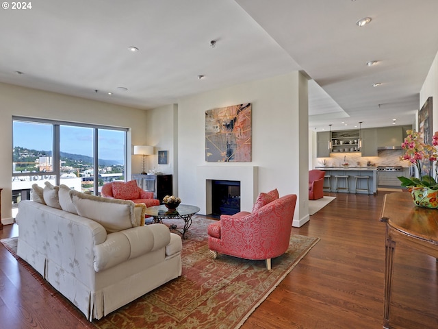 living room featuring a mountain view and dark hardwood / wood-style flooring