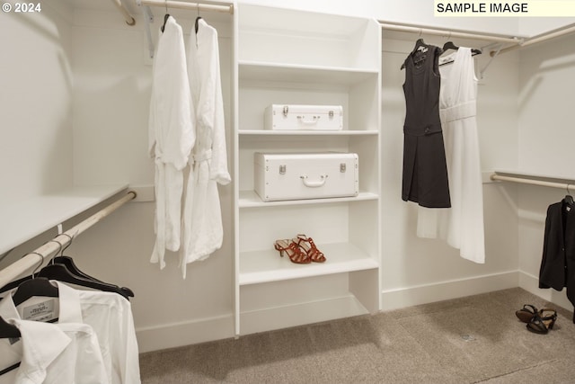 spacious closet featuring carpet flooring